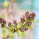 마중가는길 이미지