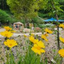 산촌펜션 이미지