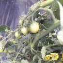 흥농상회 이미지