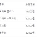 힐링페츠