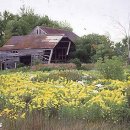 헨델의 `라르고" (Ombra Mai Fu) / The old man and the barn. 이미지