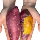 원영농장 이미지