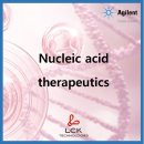 셀206바이오 주식회사 | [기초다지기] 핵산 치료제 (Nucleic acid therapeutics)