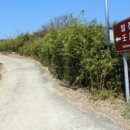 남해-291 이미지