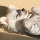 씨유 김해부원시티점 | MIX