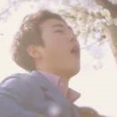 벚꽃엔딩 네이버블로그