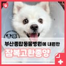 부산종합동물병원 이미지