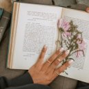 영어원서 읽기 이미지