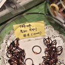 책둥지 | 강릉 오리둥지 선물상점 다녀온 후기👐_강릉소품샵/강릉기념품샵/강릉오리둥지/강릉오리둥지키링