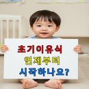 A28 | 초기이유식 언제부터 시작하나요?