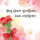 아카데미국가대표태권도장 이미지