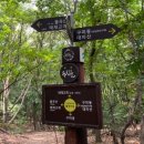 자연마트-현대빌라트-내대지마을진흥더블파크아파트 | 용인 대지산 - 성남 불곡산
