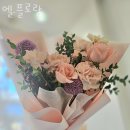 플로랑 이미지