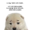 나 오늘 기분이 너무 안 좋아.. 10만원만 보내줘봐 5월 둘째주 두께바 일상