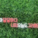 구사이 | [추천] 구사이 942 | 충남 보령 추천카페