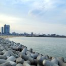 청호동 해변 이미지