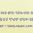 한금령벌꿀