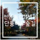 이동녕기념관 | 천안 여행 독립기념관 단풍나무숲길 11월 11일 방문 후기