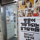 노원뽑기샵 | ❗노원구 최대 규모, 노원역 굿즈샵 ❗🎰🎮 집사의하루 가챠앤굿즈 (고양이 카페도 있는 건 덤 🐈)