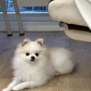 반자주 일광신도시점 이미지