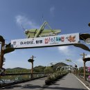 황금이식물원 | 2026 함평 나비축제 입장료 초대가수 황금박쥐 주차장 방문 후기