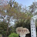 해동장식 - 강서구 화곡로55길 12 | 생일기념 부산 2박3일 | 1일차 바다뷰 사찰 해동용궁사 방문후기