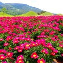 의성조문국사적지 이미지