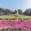 주식회사 힐링투어 네이버블로그
