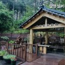 실버케어 이미지