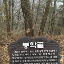 정심사 부근 이미지