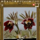 쌍둥이농원 이미지