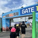 마마트 | 보령 머드축제후기/Mud Festival/대천 해수욕장/샤워장/주차장