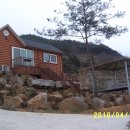 석곡 노루목 Daum카페