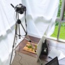 결혼상담 관리사 2급 이미지