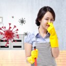 스타클리닝 이미지