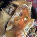 두끼여수 | 여수 마지막 식사 성공 게장에 밥 두 공기 순삭한 여수게장 나래밥상 후기🦀