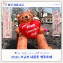 보라세탁소 | [제주축제후기] 2026년 서귀포 대륜동 벚꽃축제
