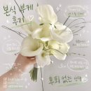 플라워앤타이드 | 본식 부케 지나뜰리에 I 레이스드레스 + 진주 카라 부케 계약 완 (w.아이웨딩)