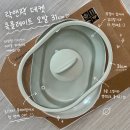 둥이요리 | [락앤락 데켓] 데켓 쿡플레이트 오발 31cm, 주물팬, 내돈내산 사용후기, 요리후기