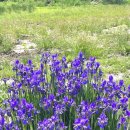 사상스마트병원 이미지