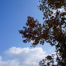 가현생고기 근처 이미지