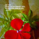 햇빛투게더 이미지