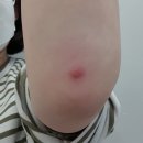 맑은성모피부과의원 이미지