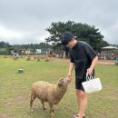 우대농장 | 제주 여름 여행 추천 길길팜랜드 솔직 후기 아이랑 가기 좋은 체험농장