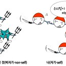 엠지에프두피탈모센터 이미지