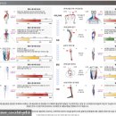 피지오플러스피티 이미지