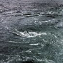 괭이바다 이미지