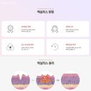 미아사거리톡스앤필의원 이미지