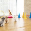 분도유치원 이미지