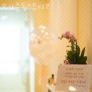 요가중독스튜디오